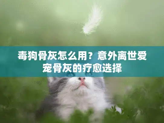毒狗骨灰怎么用?意外离世爱宠骨灰的疗愈选择 毒狗骨灰怎么用?意外离世爱宠骨灰的疗愈选择