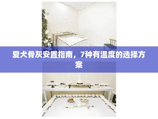 爱犬骨灰安置指南，7种有温度的选择方案