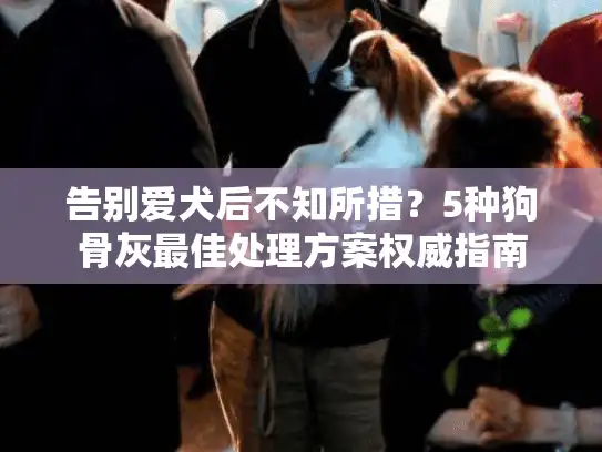 告别爱犬后不知所措？5种狗骨灰最佳处理方案权威指南
