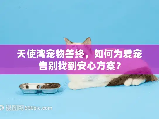 天使湾宠物善终,如何为爱宠告别找到安心方案? 天使湾宠物善终,如何为爱宠告别找到安心方案?