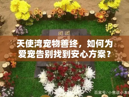 天使湾宠物善终,如何为爱宠告别找到安心方案? 天使湾宠物善终,如何为爱宠告别找到安心方案?