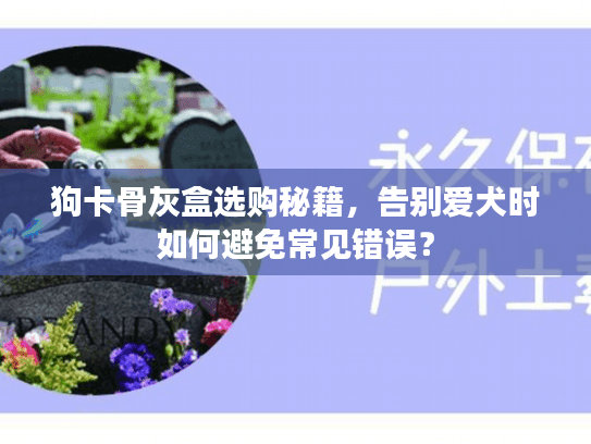 狗卡骨灰盒选购秘籍，告别爱犬时如何避免常见错误？