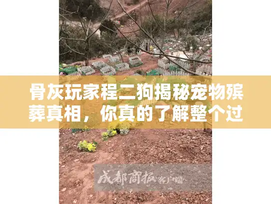 骨灰玩家程二狗揭秘宠物殡葬真相,你真的了解整个过程吗? 骨灰玩家程二狗揭秘宠物殡葬真相,你真的了解整个过程吗?