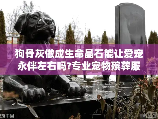 狗骨灰做成生命晶石能让爱宠永伴左右吗?专业宠物殡葬服务解密 狗骨灰做成生命晶石能让爱宠永伴左右吗?专业宠物殡葬服务解密