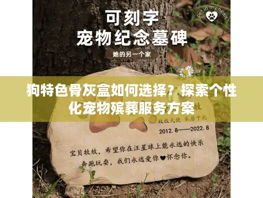 狗特色骨灰盒如何选择?探索个性化宠物殡葬服务方案 狗特色骨灰盒如何选择?探索个性化宠物殡葬服务方案