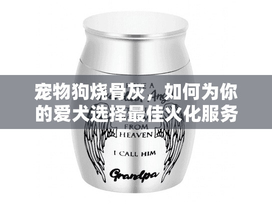 宠物狗烧骨灰，如何为你的爱犬选择最佳火化服务？