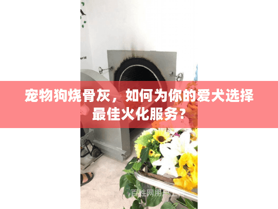 宠物狗烧骨灰，如何为你的爱犬选择最佳火化服务？