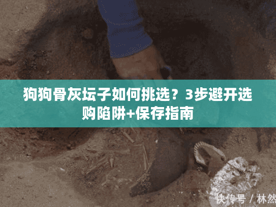 狗狗骨灰坛子如何挑选？3步避开选购陷阱+保存指南