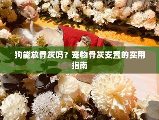 狗能放骨灰吗?宠物骨灰安置的实用指南 狗能放骨灰吗?宠物骨灰安置的实用指南