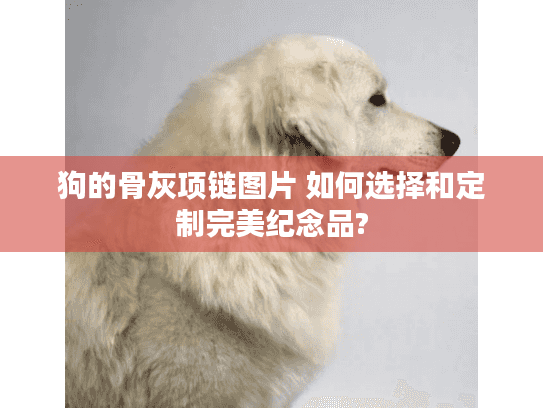 狗的骨灰项链图片 如何选择和定制完美纪念品?
