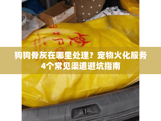 狗狗骨灰在哪里处理？宠物火化服务4个常见渠道避坑指南