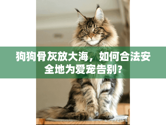 狗狗骨灰放大海,如何合法安全地为爱宠告别? 狗狗骨灰放大海,如何合法安全地为爱宠告别?