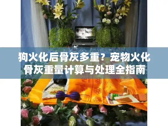 狗火化后骨灰多重？宠物火化骨灰重量计算与处理全指南