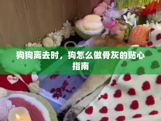 狗狗离去时，狗怎么做骨灰的贴心指南