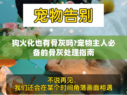 狗火化也有骨灰吗?宠物主人必备的骨灰处理指南 狗火化也有骨灰吗?宠物主人必备的骨灰处理指南