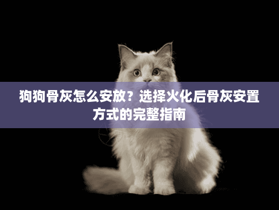 狗狗骨灰怎么安放？选择火化后骨灰安置方式的完整指南