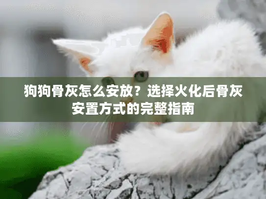 狗狗骨灰怎么安放？选择火化后骨灰安置方式的完整指南