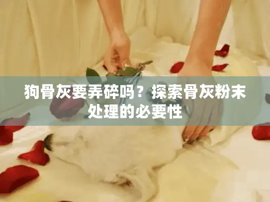 狗骨灰要弄碎吗?探索骨灰粉末处理的必要性 狗骨灰要弄碎吗?探索骨灰粉末处理的必要性