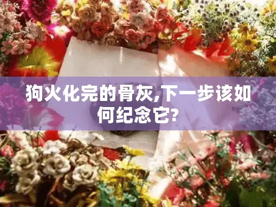 狗火化完的骨灰,下一步该如何纪念它?
