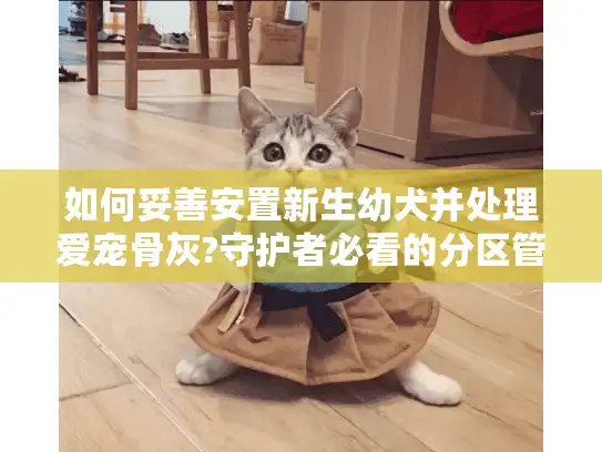 如何妥善安置新生幼犬并处理爱宠骨灰?守护者必看的分区管理指南