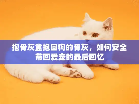 抱骨灰盒抱回狗的骨灰,如何安全带回爱宠的最后回忆 抱骨灰盒抱回狗的骨灰,如何安全带回爱宠的最后回忆