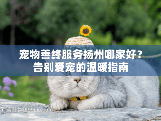 宠物善终服务扬州哪家好？告别爱宠的温暖指南