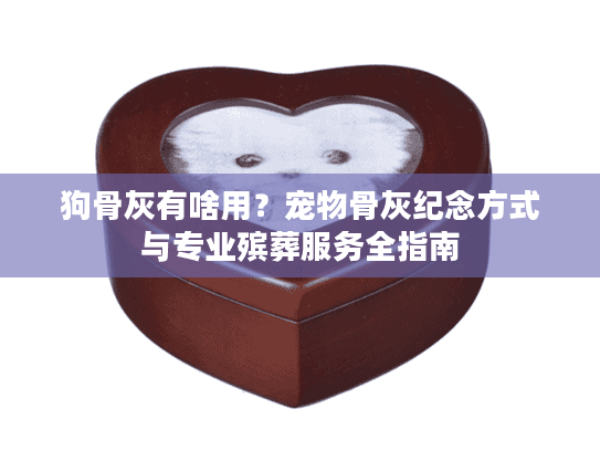 狗骨灰有啥用？宠物骨灰纪念方式与专业殡葬服务全指南