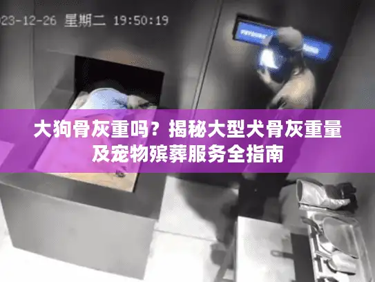 大狗骨灰重吗?揭秘大型犬骨灰重量及宠物殡葬服务全指南 大狗骨灰重吗?揭秘大型犬骨灰重量及宠物殡葬服务全指南