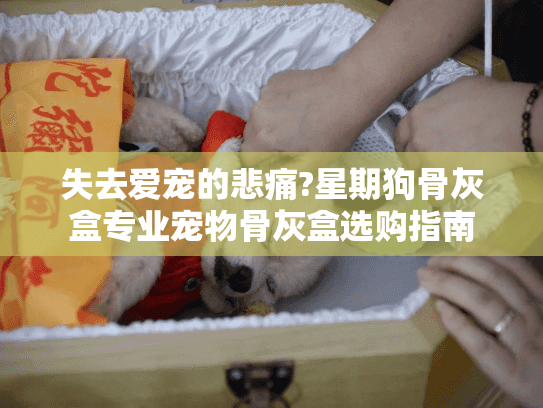 失去爱宠的悲痛?星期狗骨灰盒专业宠物骨灰盒选购指南