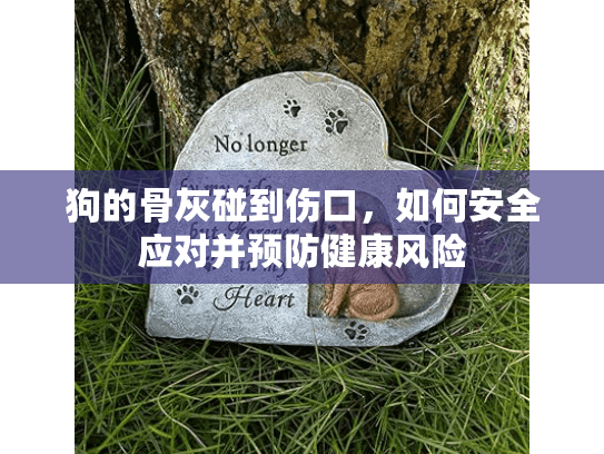 狗的骨灰碰到伤口，如何安全应对并预防健康风险