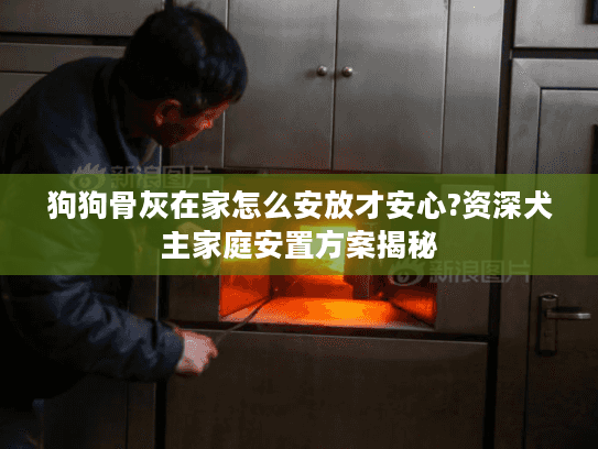 狗狗骨灰在家怎么安放才安心?资深犬主家庭安置方案揭秘
