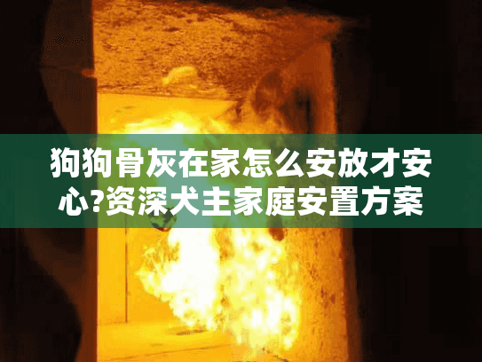 狗狗骨灰在家怎么安放才安心?资深犬主家庭安置方案揭秘