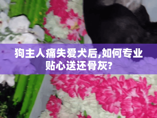 狗主人痛失爱犬后,如何专业贴心送还骨灰? 狗主人痛失爱犬后,如何专业贴心送还骨灰?