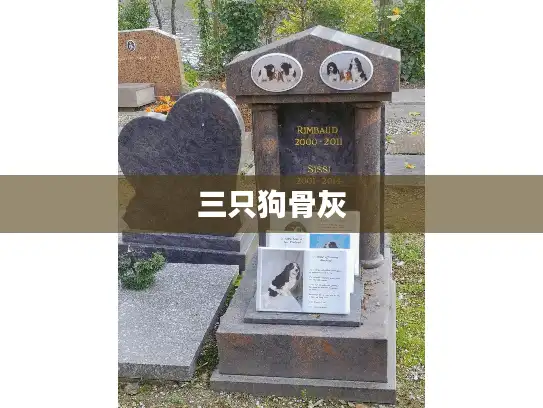 三只狗骨灰 三只狗骨灰