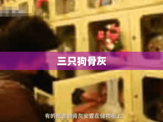 三只狗骨灰 三只狗骨灰