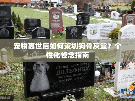 宠物离世后如何策划狗骨灰盒？个性化悼念指南