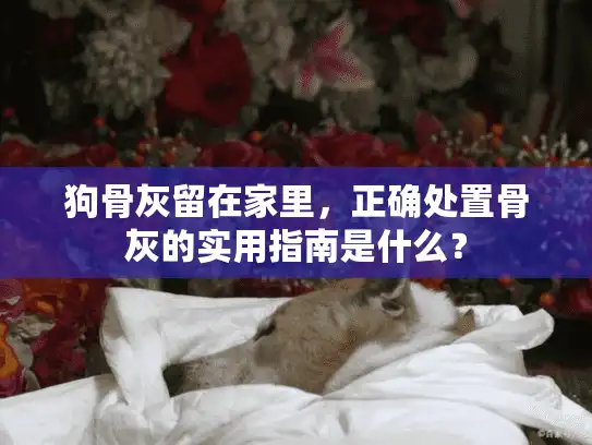 狗骨灰留在家里,正确处置骨灰的实用指南是什么? 狗骨灰留在家里,正确处置骨灰的实用指南是什么?