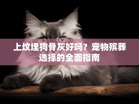 上坟埋狗骨灰好吗？宠物殡葬选择的全面指南