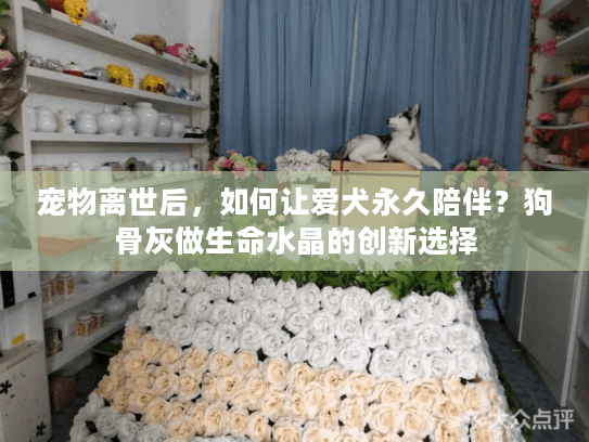 宠物离世后，如何让爱犬永久陪伴？狗骨灰做生命水晶的创新选择