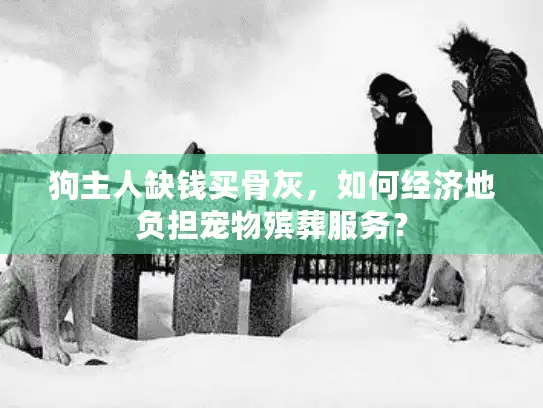 狗主人缺钱买骨灰，如何经济地负担宠物殡葬服务？