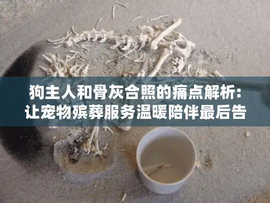 狗主人和骨灰合照的痛点解析:让宠物殡葬服务温暖陪伴最后告别
