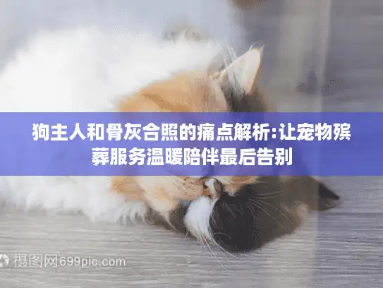 狗主人和骨灰合照的痛点解析:让宠物殡葬服务温暖陪伴最后告别