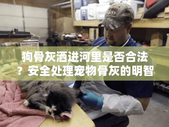 狗骨灰洒进河里是否合法?安全处理宠物骨灰的明智方案 狗骨灰洒进河里是否合法?安全处理宠物骨灰的明智方案