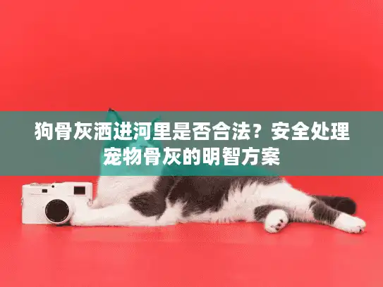 狗骨灰洒进河里是否合法?安全处理宠物骨灰的明智方案 狗骨灰洒进河里是否合法?安全处理宠物骨灰的明智方案