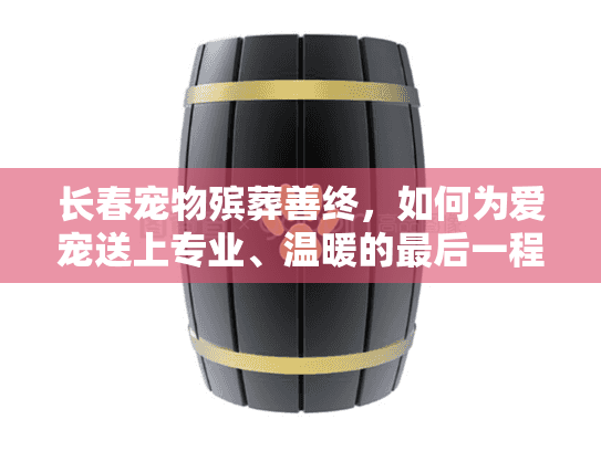 长春宠物殡葬善终,如何为爱宠送上专业、温暖的最后一程? 长春宠物殡葬善终,如何为爱宠送上专业、温暖的最后一程?