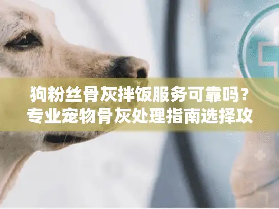 狗粉丝骨灰拌饭服务可靠吗？专业宠物骨灰处理指南选择攻略