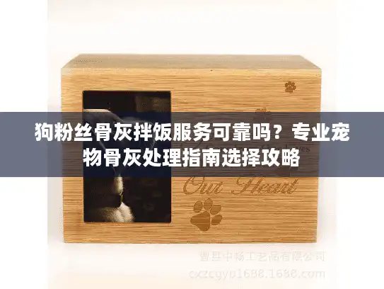 狗粉丝骨灰拌饭服务可靠吗？专业宠物骨灰处理指南选择攻略