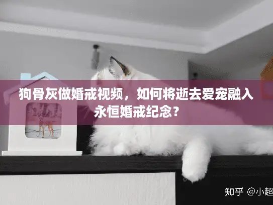 狗骨灰做婚戒视频,如何将逝去爱宠融入永恒婚戒纪念? 狗骨灰做婚戒视频,如何将逝去爱宠融入永恒婚戒纪念?