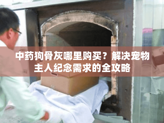 中药狗骨灰哪里购买？解决宠物主人纪念需求的全攻略