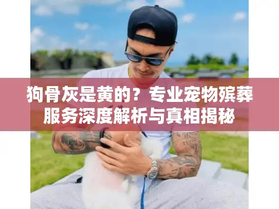 狗骨灰是黄的？专业宠物殡葬服务深度解析与真相揭秘